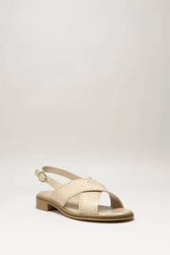 Pertini - Beige Sandaal hak