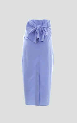 Phisique Du Role - Blauw Rok
