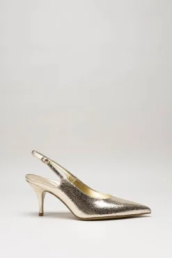 Rotta - Goud Pump