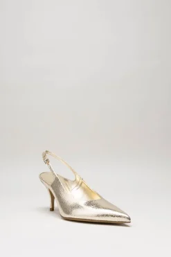 Rotta - Goud Pump