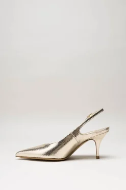 Rotta - Goud Pump