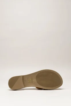 Scapa - Bruin Slipper