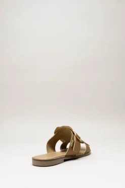 Scapa - Bruin Slipper