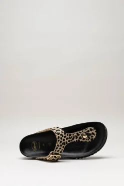 Scholl - Beige Slipper