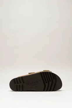 Scholl - Bruin Slipper