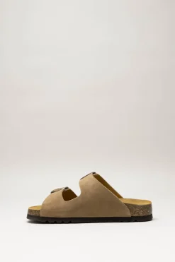 Scholl - Bruin Slipper