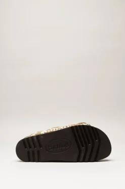 Scholl - Bruin Slipper