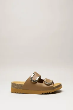 Scholl - Bruin Slipper