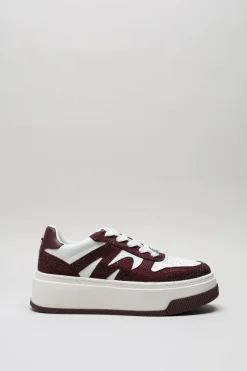 Steve Madden - Bordeaux Sneaker