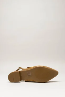 Tango - Camel Ballerina