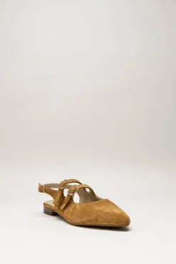 Tango - Camel Ballerina