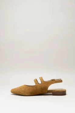 Tango - Camel Ballerina