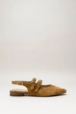 Tango - Camel Ballerina