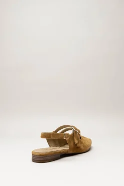 Tango - Camel Ballerina