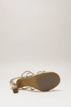 Toral - Goud Muiltje