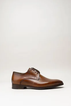 Van Bommel - Cognac Veterschoen