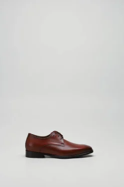 Van Bommel - Cognac Veterschoen