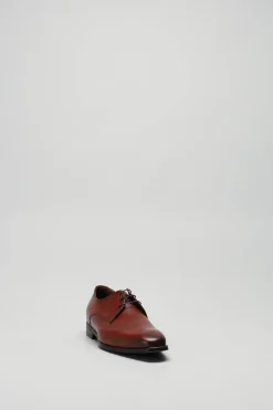 Van Bommel - Cognac Veterschoen