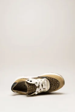 Xsensible - Camel Sneaker