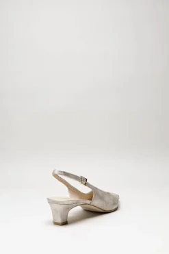 Zinda - Goud Pump