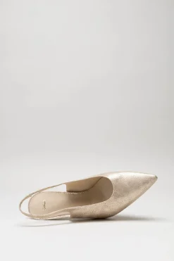 Zinda - Goud Pump